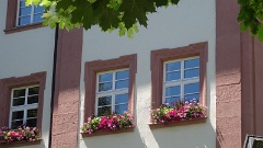 2016-07 Schlossgartenkonzert Dettingen (30)